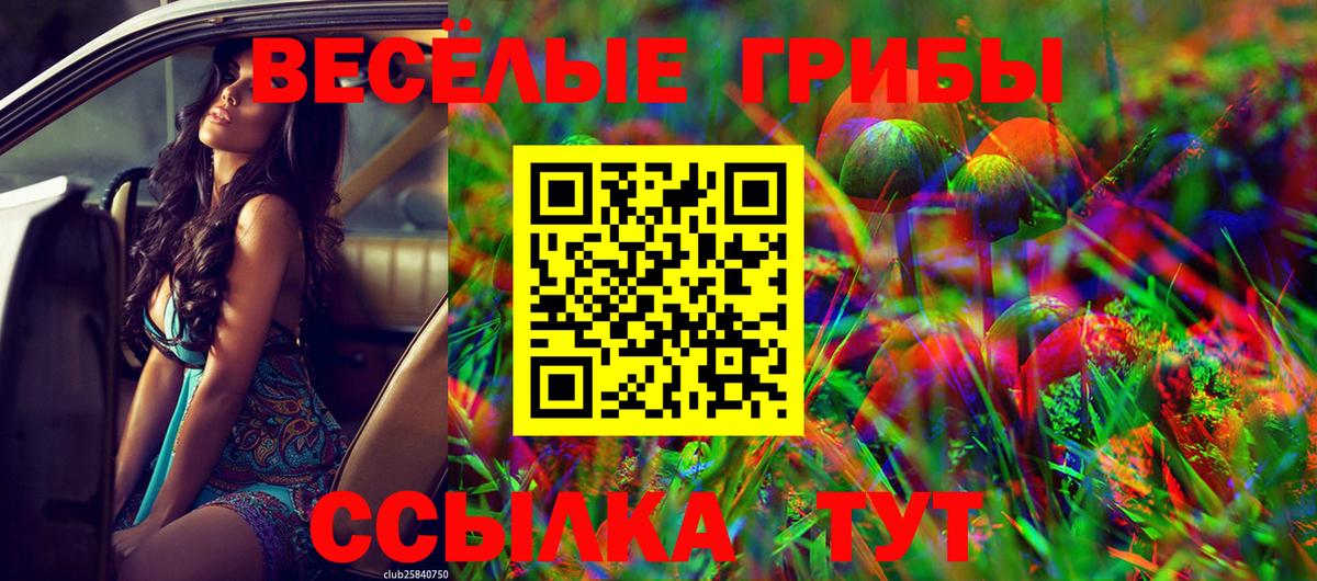 Галлюциногенные грибы ЛСД Ревда