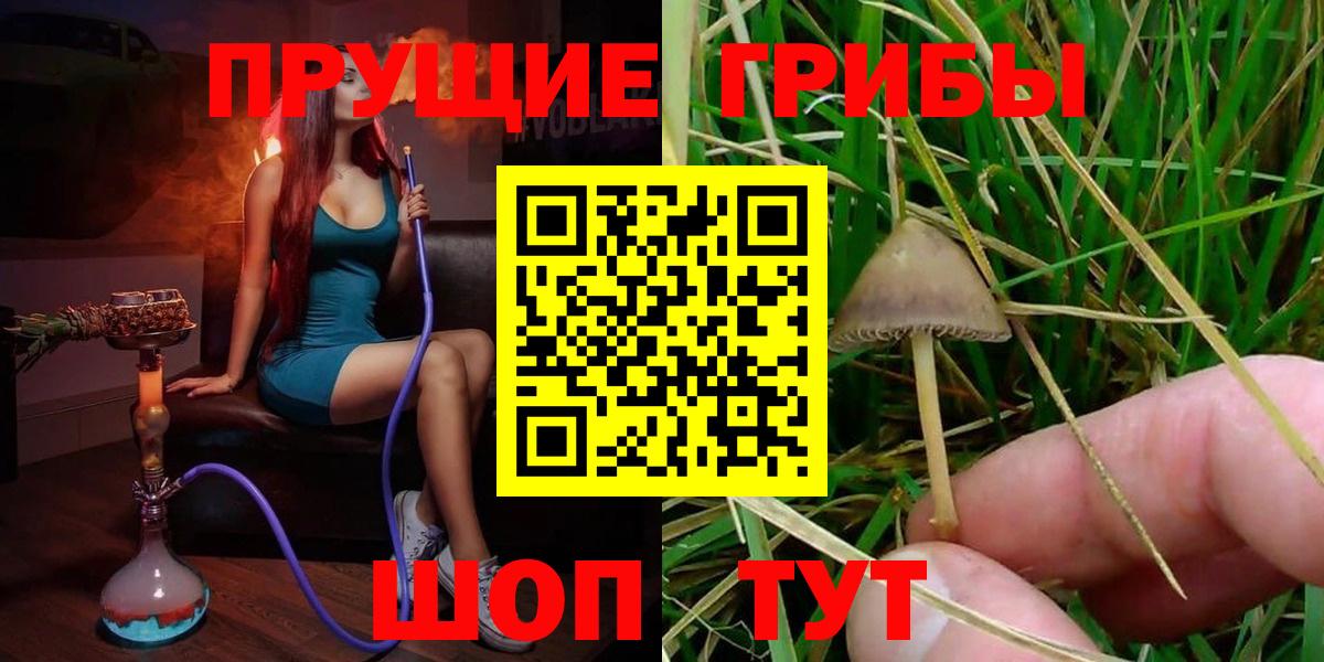 Псилоцибиновые грибы Psilocybe  Вход с VPN  Ревда 
