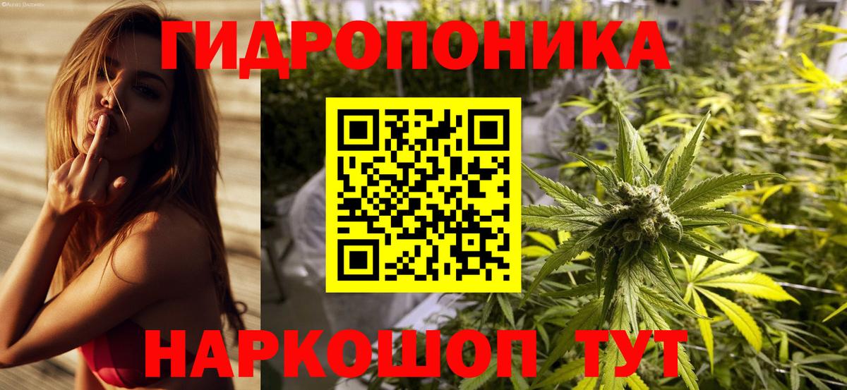 Шишки марихуана Bruce Banner Ревда